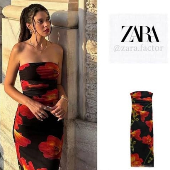 🆕️ Zara Floral Tulle Dress - Picture 1 of 3